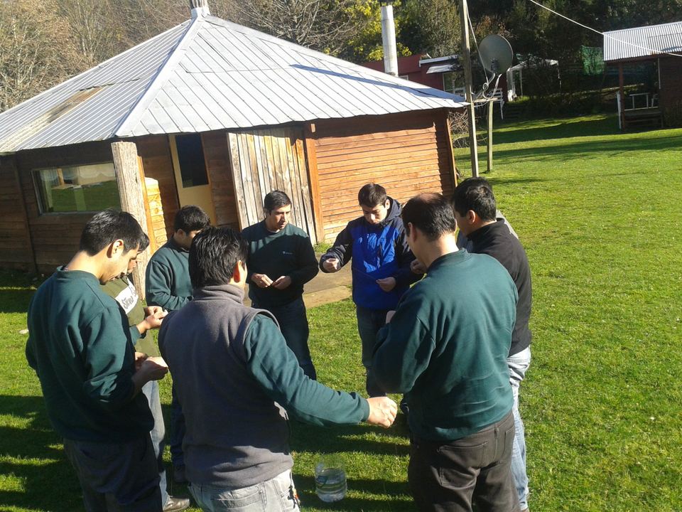 Arauco: Jornada outdoor de trabajo en equipo